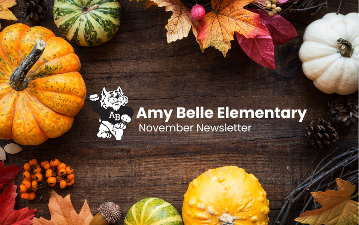 Amy Belle November Newsletter cover image